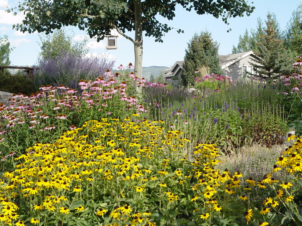 Klassischer Garten in Denver