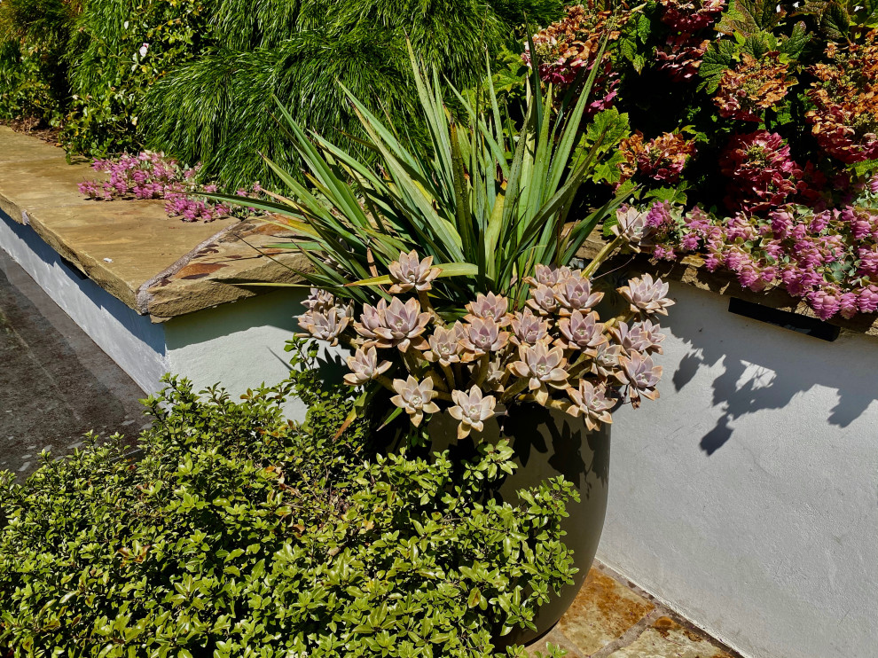 Mittelgroßer, Halbschattiger Moderner Garten im Frühling mit Wasserspiel in San Francisco