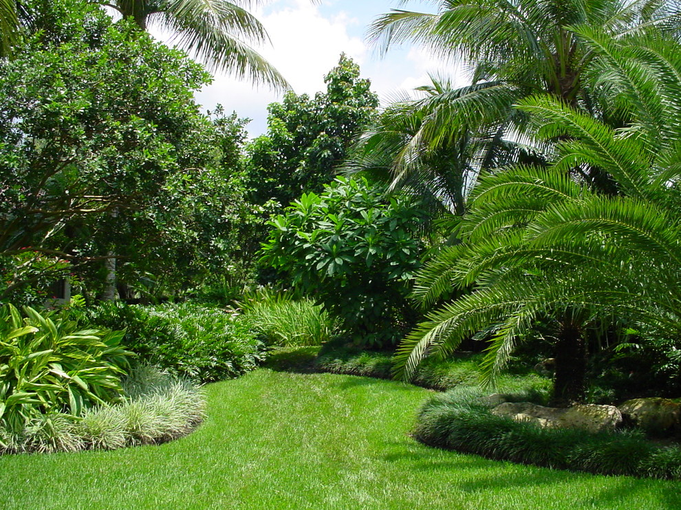 Mittelgroßer Garten im Sommer, hinter dem Haus mit direkter Sonneneinstrahlung und Betonboden in Miami