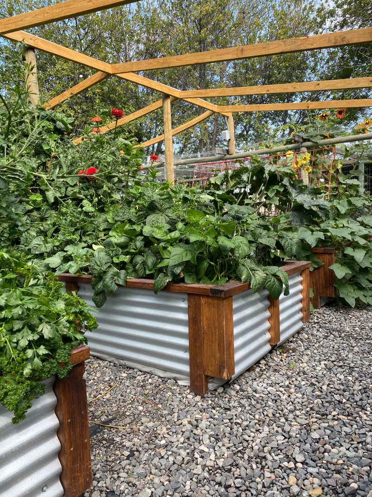 Idee per un orto in giardino country esposto in pieno sole con sassi di fiume