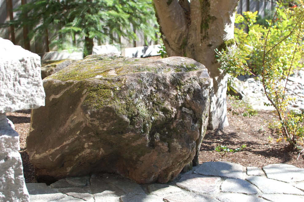 Imagen de jardín actual de tamaño medio en patio con adoquines de piedra natural