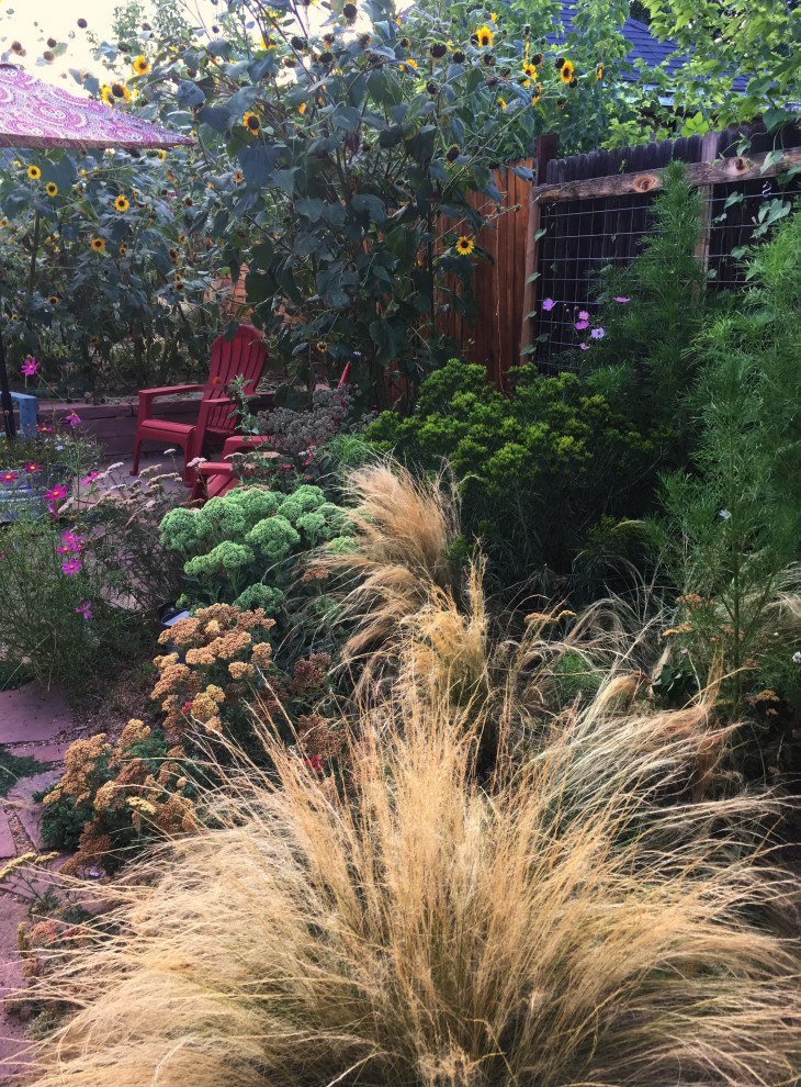Back Patio Umatilla Street Garden Eclectic Landscape Denver