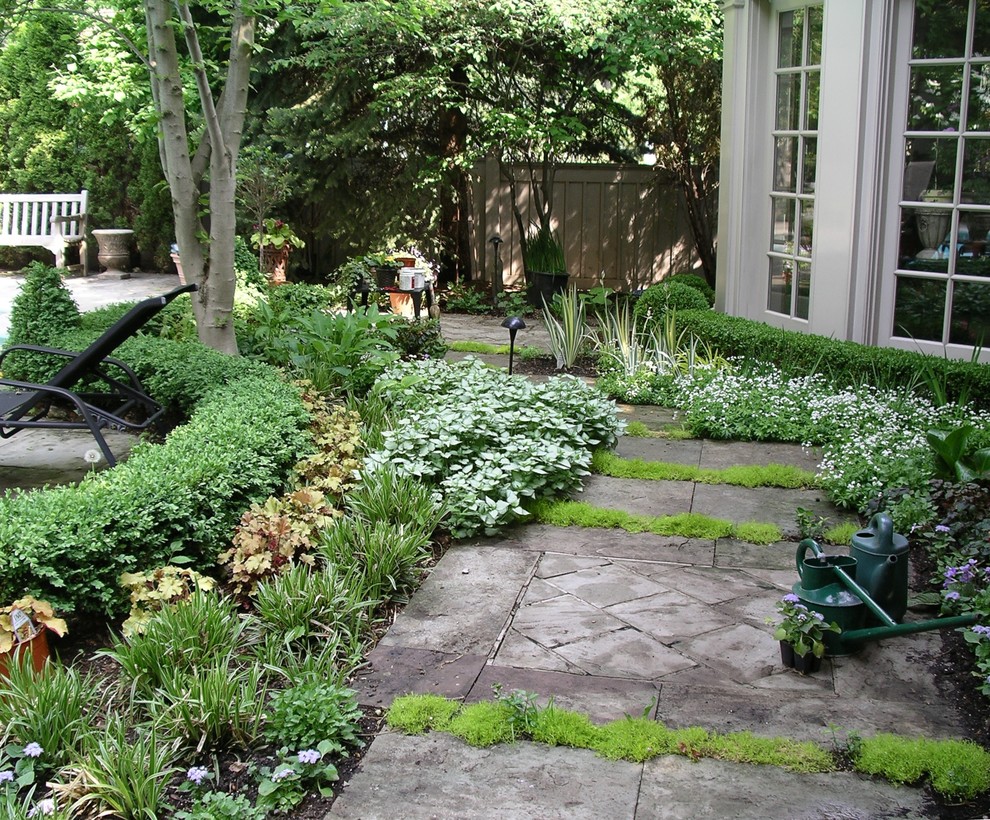 Back Yard Beauties Traditional Landscape Toronto By Da Gracey