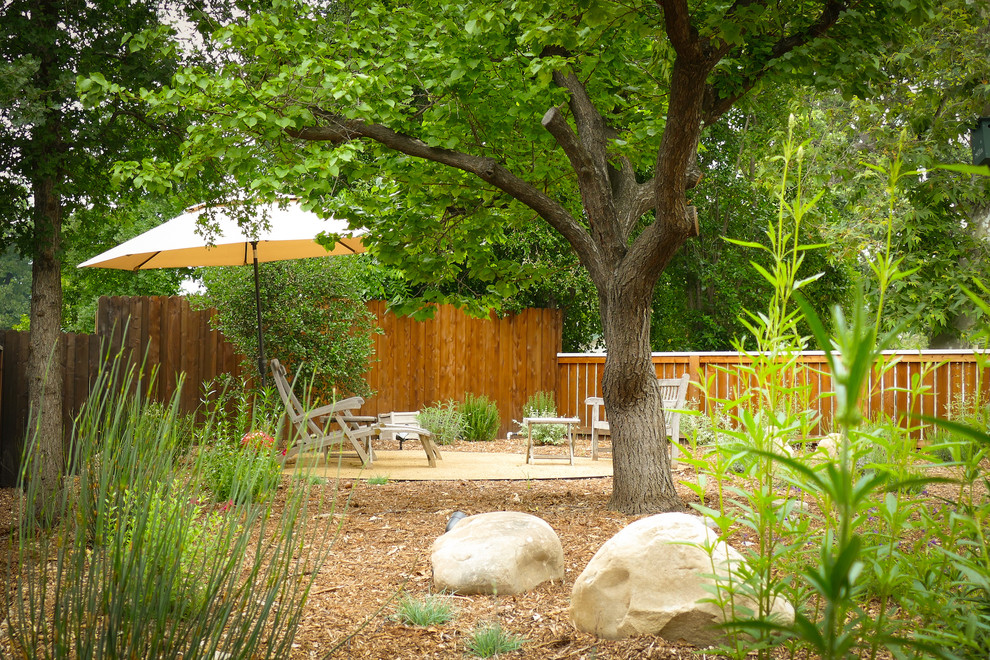 Immagine di un giardino xeriscape moderno esposto in pieno sole dietro casa con un focolare e pacciame