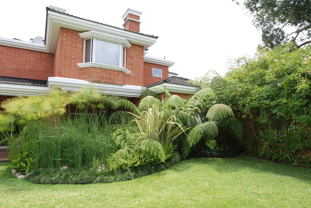 Back yard - Traditional - Landscape - Mexico City | Houzz