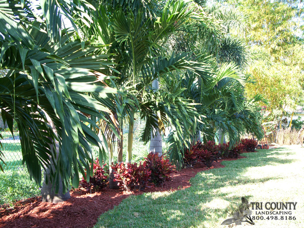 Idee per un grande giardino xeriscape tropicale esposto in pieno sole dietro casa con pacciame