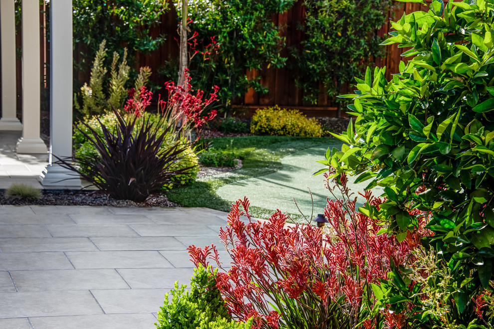 Kleiner Mediterraner Garten im Sommer, hinter dem Haus mit Sportplatz und direkter Sonneneinstrahlung in San Francisco