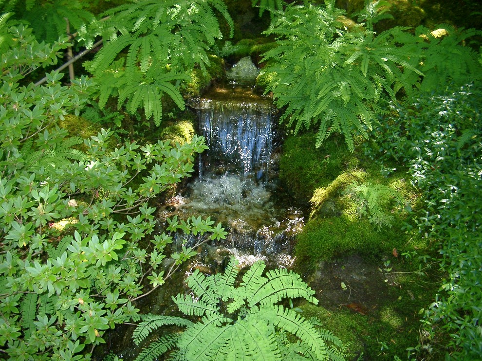 Cette image montre un très grand jardin arrière traditionnel avec une cascade.