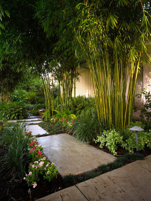 Imagen de jardín contemporáneo de tamaño medio en patio trasero con exposición parcial al sol y adoquines de piedra natural