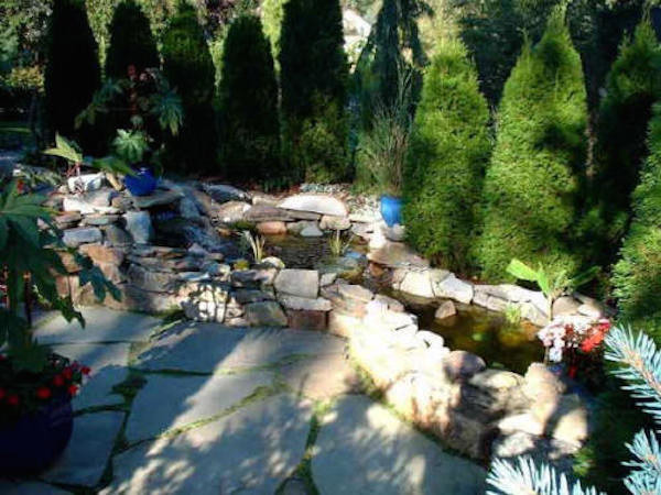 Esempio di un giardino formale tropicale esposto a mezz'ombra dietro casa e di medie dimensioni in estate con fontane e pavimentazioni in pietra naturale