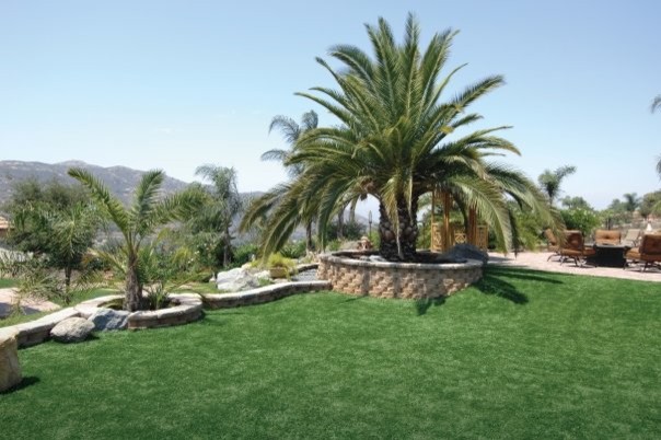 This is an example of a mediterranean landscaping in San Diego.