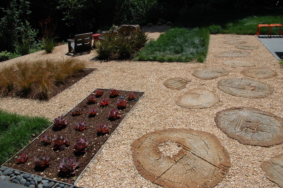 Пример оригинального дизайна: солнечный участок и сад на заднем дворе в современном стиле с хорошей освещенностью и покрытием из гравия