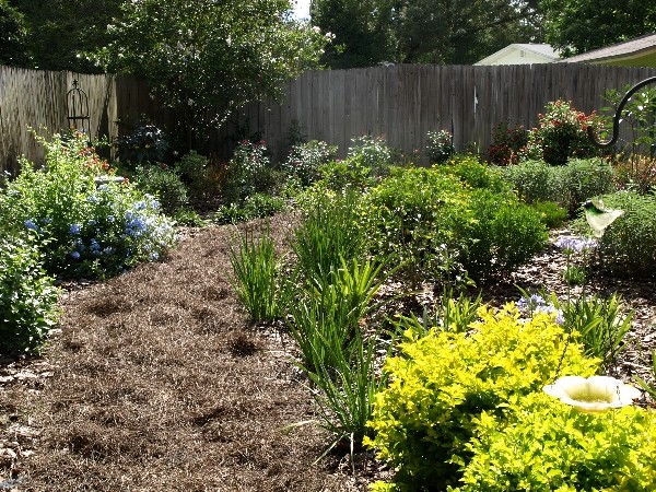 Cette photo montre un jardin arrière tendance de taille moyenne et l'été avec une exposition ensoleillée.