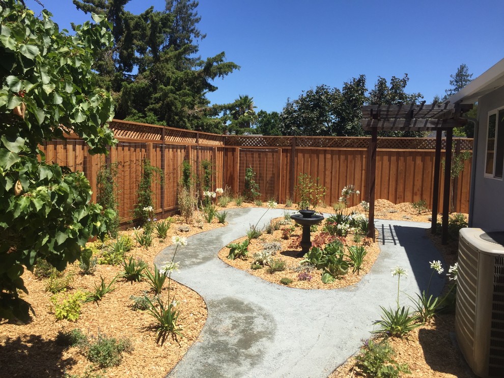 Photo of a medium sized contemporary back garden in San Francisco.