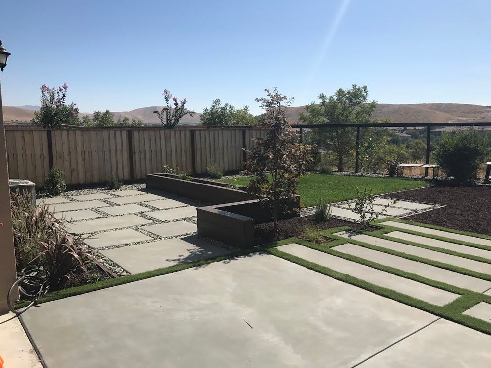 Foto di un grande giardino xeriscape design esposto in pieno sole dietro casa con un ingresso o sentiero e pavimentazioni in cemento