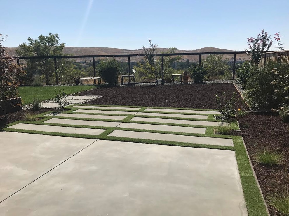 Idee per un grande giardino xeriscape design esposto in pieno sole dietro casa con un ingresso o sentiero e pavimentazioni in cemento