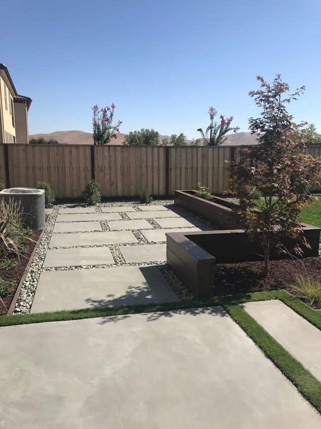 Свежая идея для дизайна: большой солнечный засухоустойчивый сад на заднем дворе в современном стиле с садовой дорожкой или калиткой, хорошей освещенностью и мощением тротуарной плиткой - отличное фото интерьера