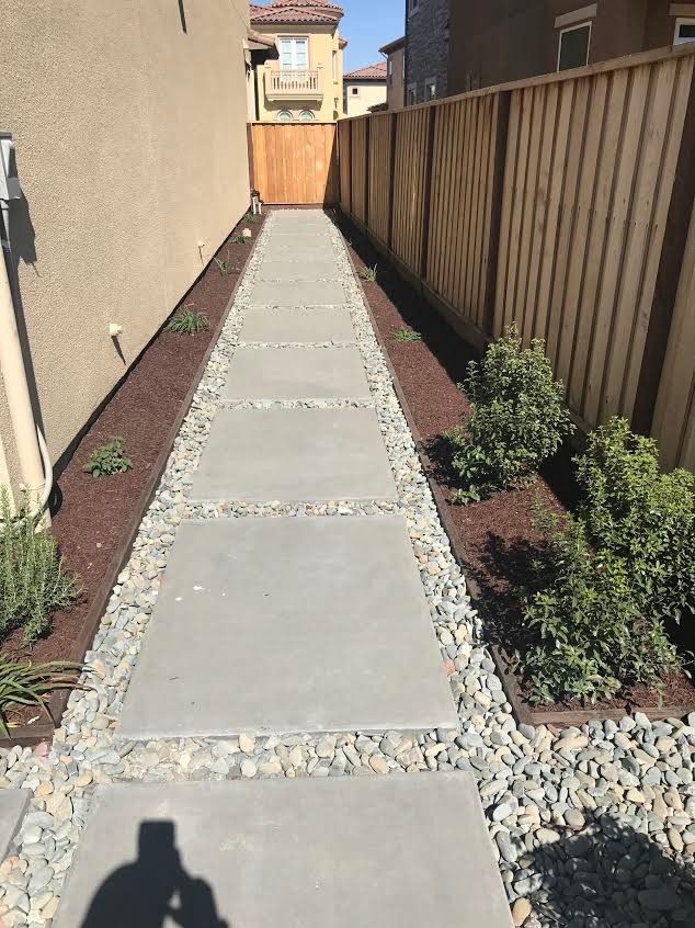 Immagine di un grande giardino xeriscape minimal esposto in pieno sole nel cortile laterale con un ingresso o sentiero e pavimentazioni in cemento
