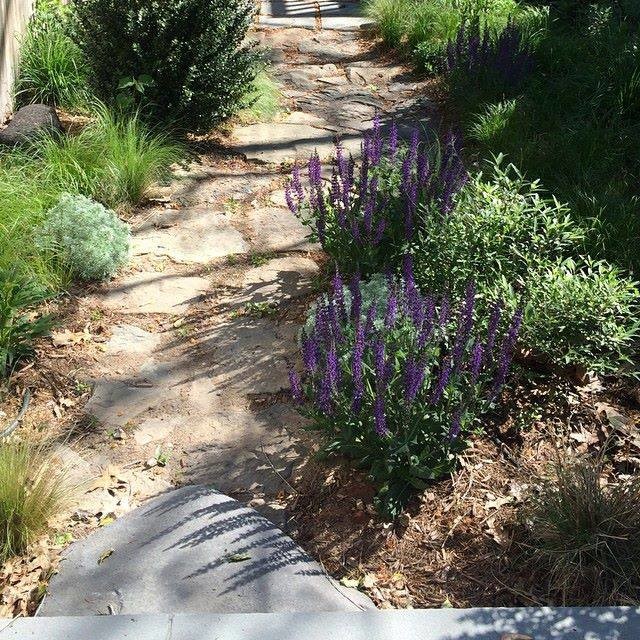 Imagen de camino de jardín bohemio de tamaño medio en patio trasero con exposición parcial al sol y adoquines de piedra natural