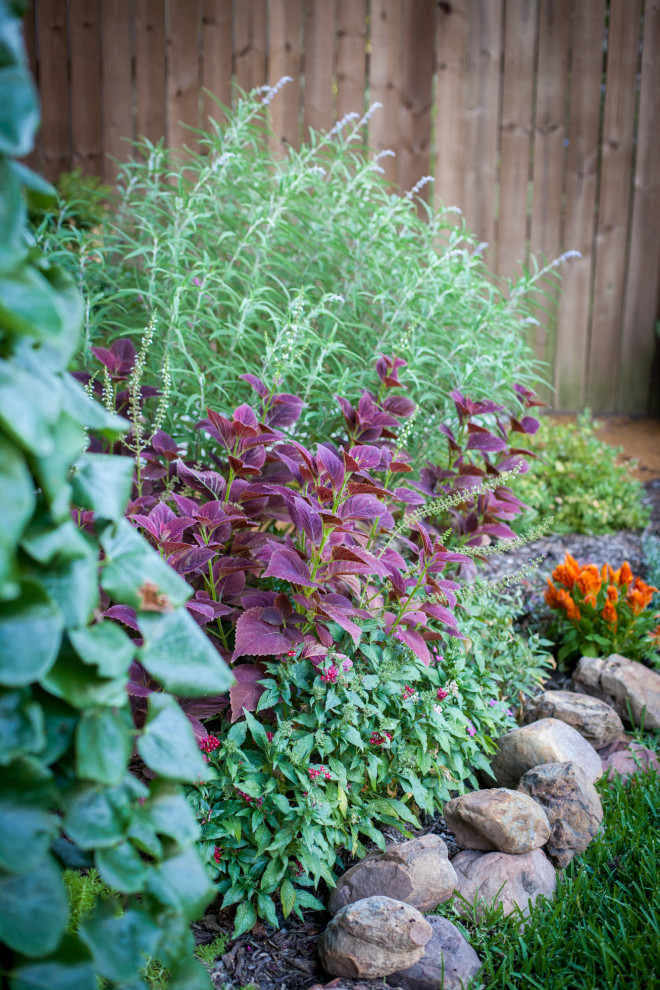 Inspiration for a mid-sized transitional full sun backyard landscaping in Dallas.