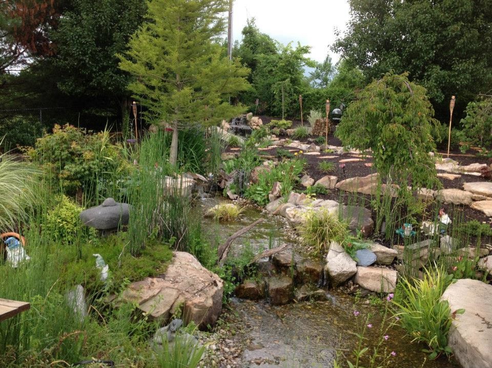 Cette image montre un jardin à la française arrière traditionnel de taille moyenne avec un bassin, une exposition partiellement ombragée et du gravier.