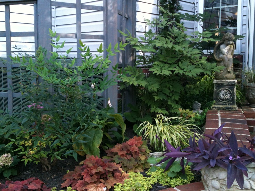Aménagement d'un petit jardin arrière classique l'été avec une exposition ombragée.