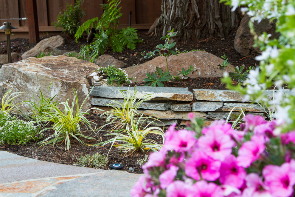 This is an example of a classic garden in San Francisco.