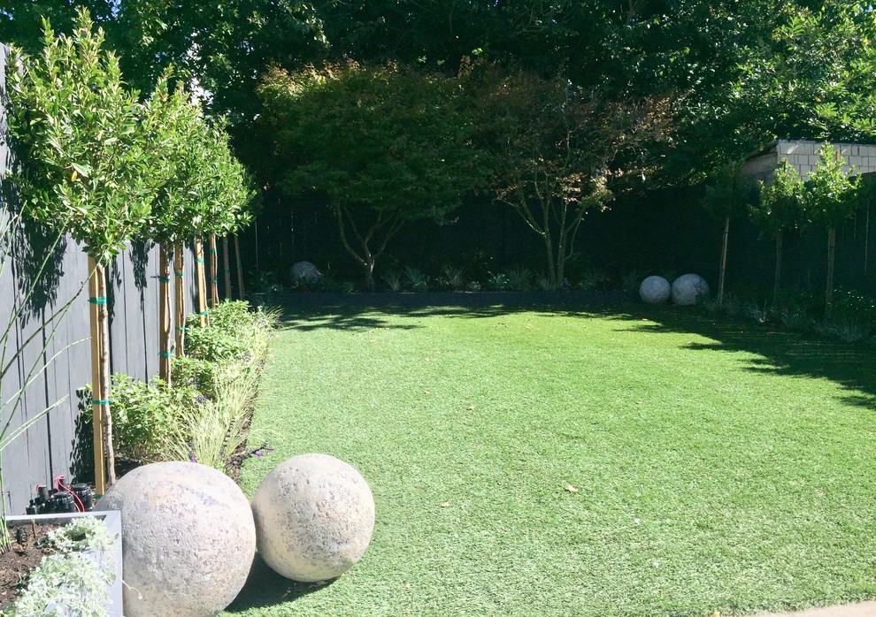 Inspiration for a mid-sized modern drought-tolerant and partial sun backyard landscaping in San Francisco.