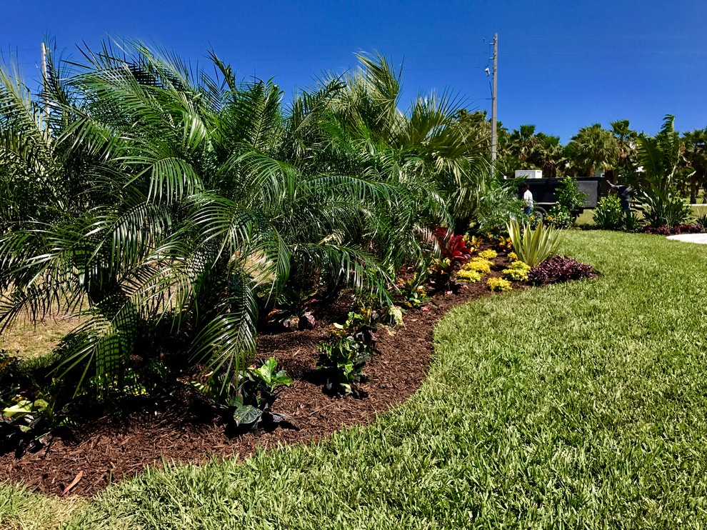 Immagine di un grande giardino formale tropicale esposto a mezz'ombra dietro casa in estate con pacciame