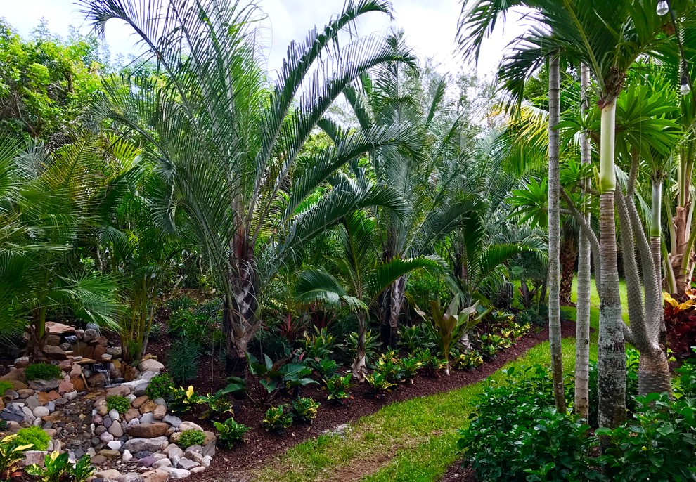 Design ideas for a small tropical partial sun backyard mulch formal garden in Orlando for summer.