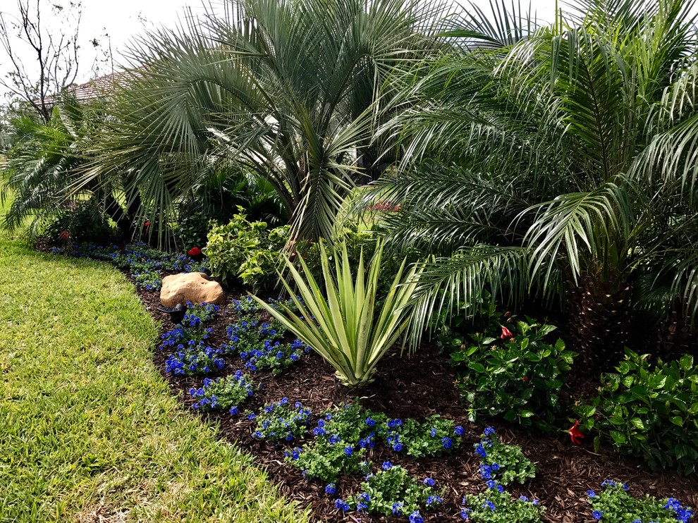 Idee per un giardino formale tropicale esposto a mezz'ombra di medie dimensioni e dietro casa con pacciame