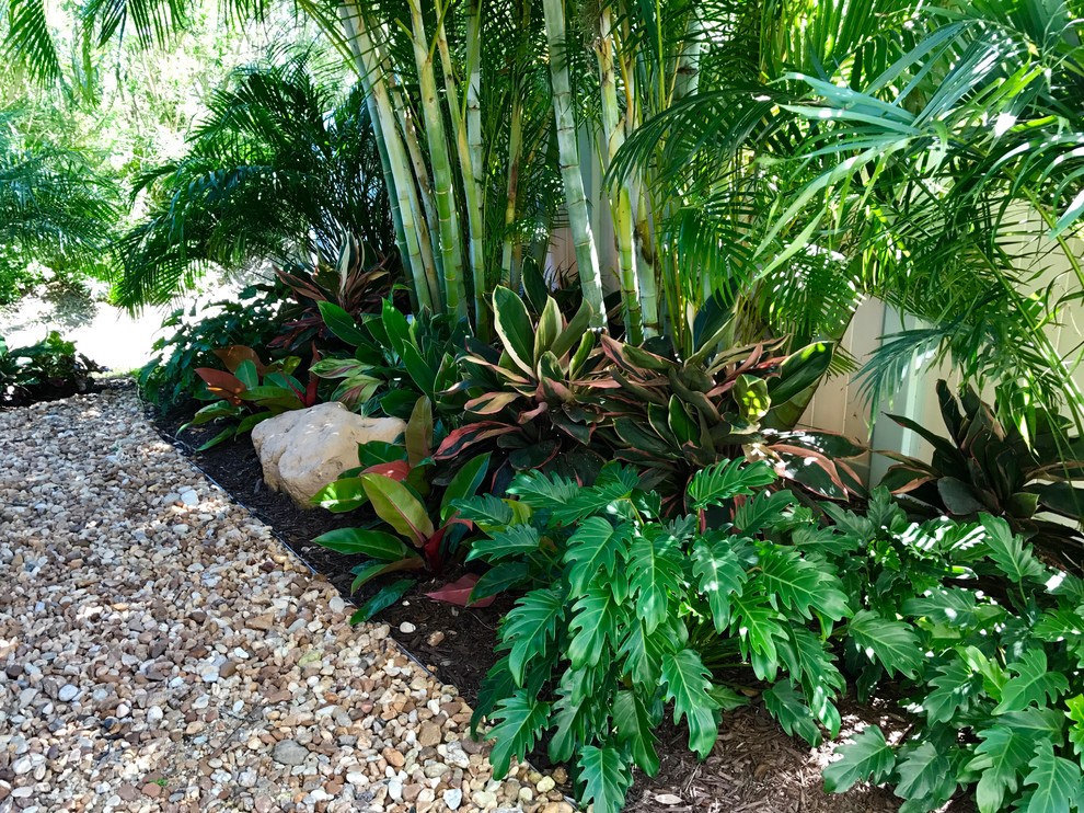 Idee per un piccolo giardino formale tropicale esposto a mezz'ombra dietro casa in estate con pacciame