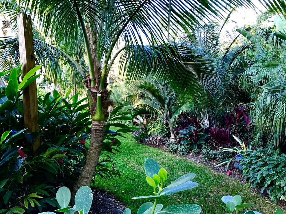 Ispirazione per un grande giardino formale tropicale esposto a mezz'ombra dietro casa in estate con pacciame