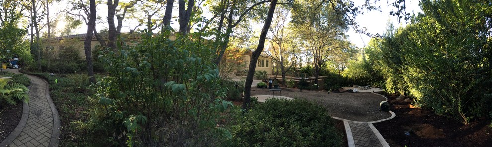 This is an example of a mediterranean garden in Sacramento.