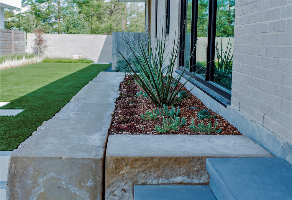 Cette photo montre un petit jardin arrière moderne avec une exposition partiellement ombragée et des pavés en béton.