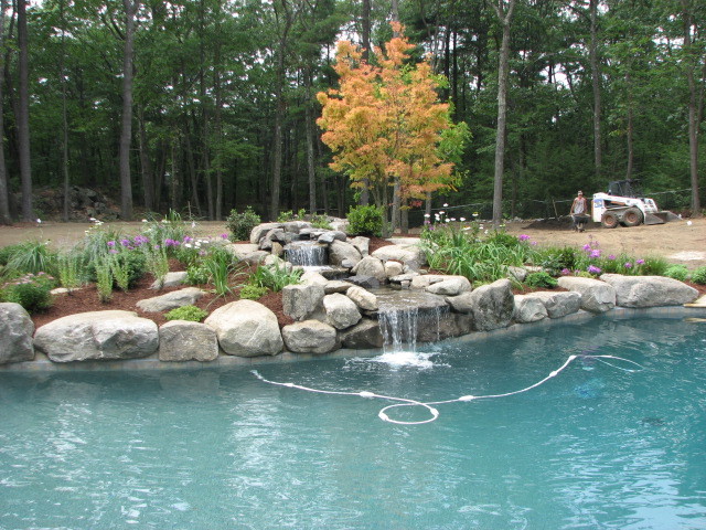 Photo of a mid-sized contemporary backyard landscaping in Boston.