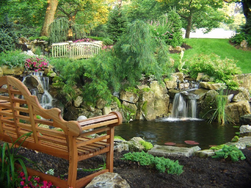 Backyard Stream and Waterfal - Traditional - Landscape - New York - by