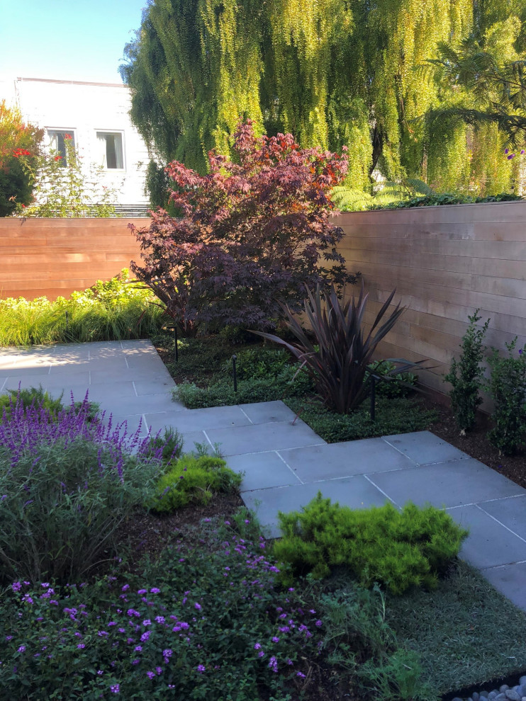 Kleiner, Halbschattiger Moderner Garten hinter dem Haus mit Gehweg und Natursteinplatten in San Francisco