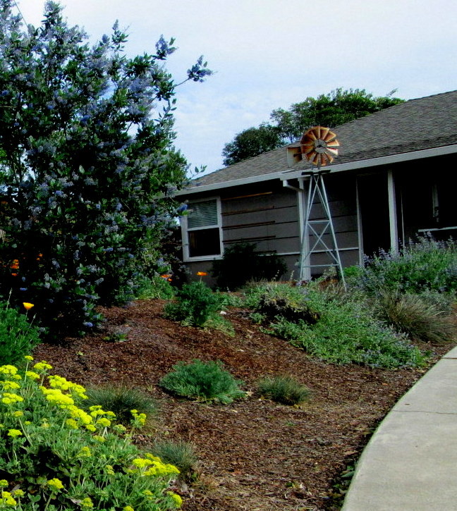 Immagine di un piccolo giardino xeriscape country esposto in pieno sole davanti casa in primavera con un ingresso o sentiero e pacciame