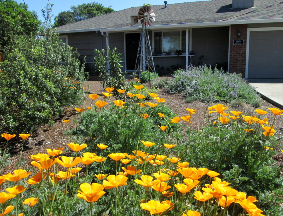 Baker Family Farmouse California Native Garden - Farmhouse - Landscape ...
