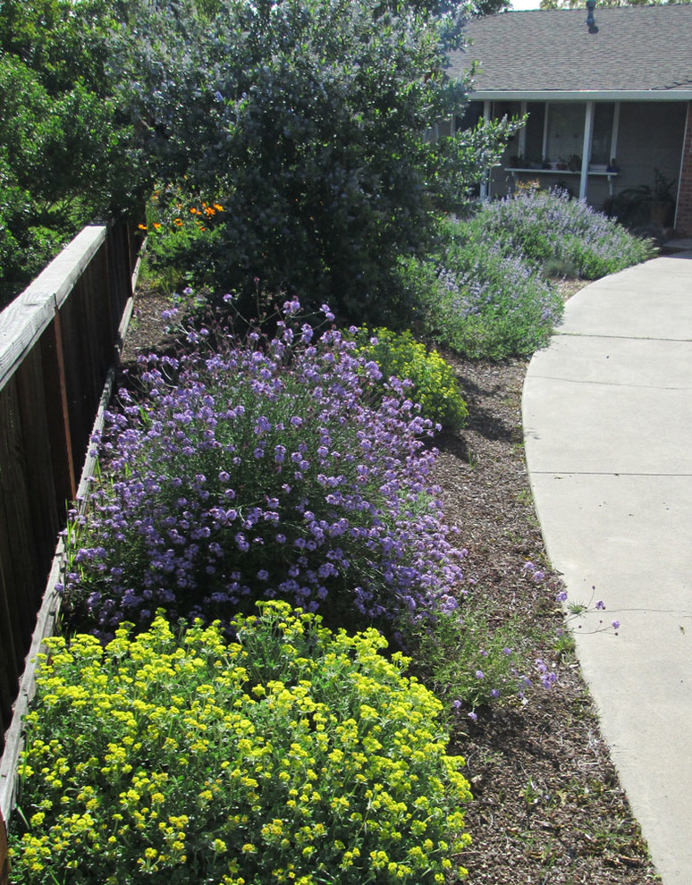 Esempio di un piccolo giardino xeriscape country esposto in pieno sole davanti casa in primavera con un ingresso o sentiero e pavimentazioni in cemento