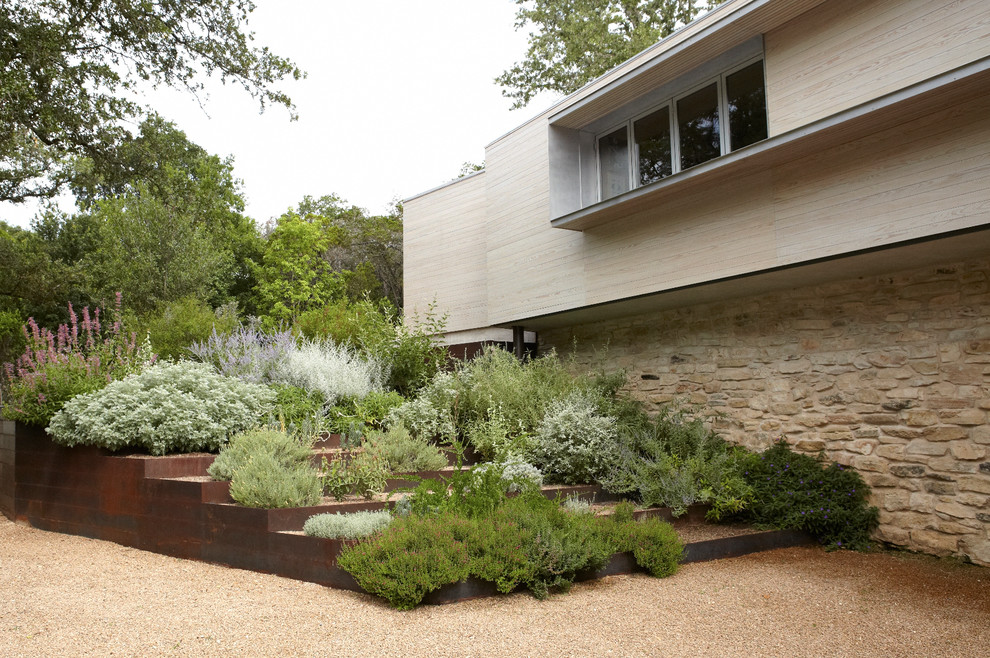 Photo of a modern landscaping in Austin.