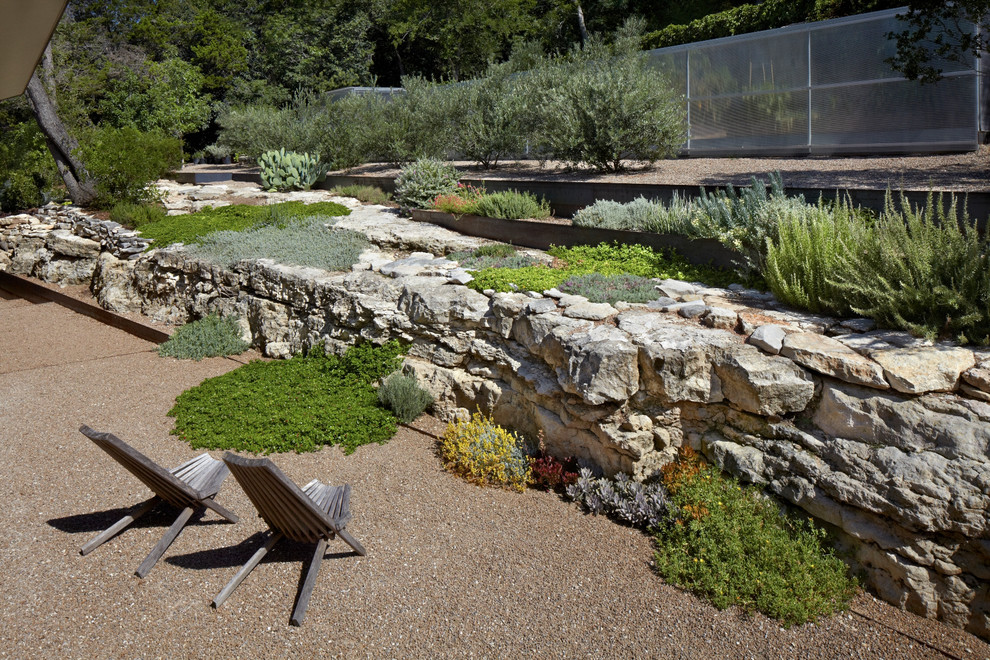 Contemporary xeriscape garden in Austin with gravel.