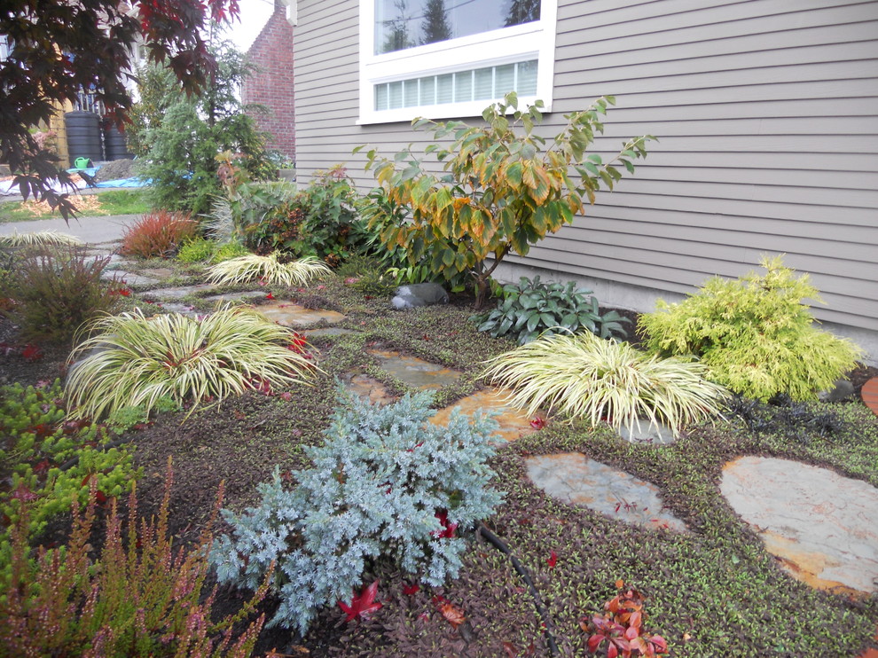 This is an example of a contemporary garden in Seattle.