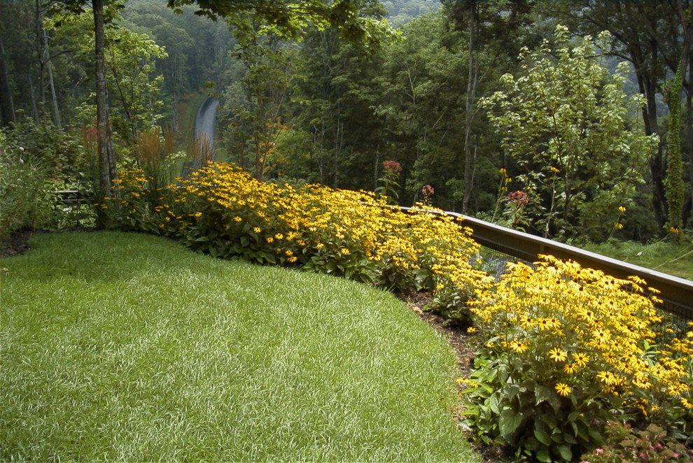 Immagine di un ampio giardino formale tradizionale esposto in pieno sole nel cortile laterale in estate con pacciame