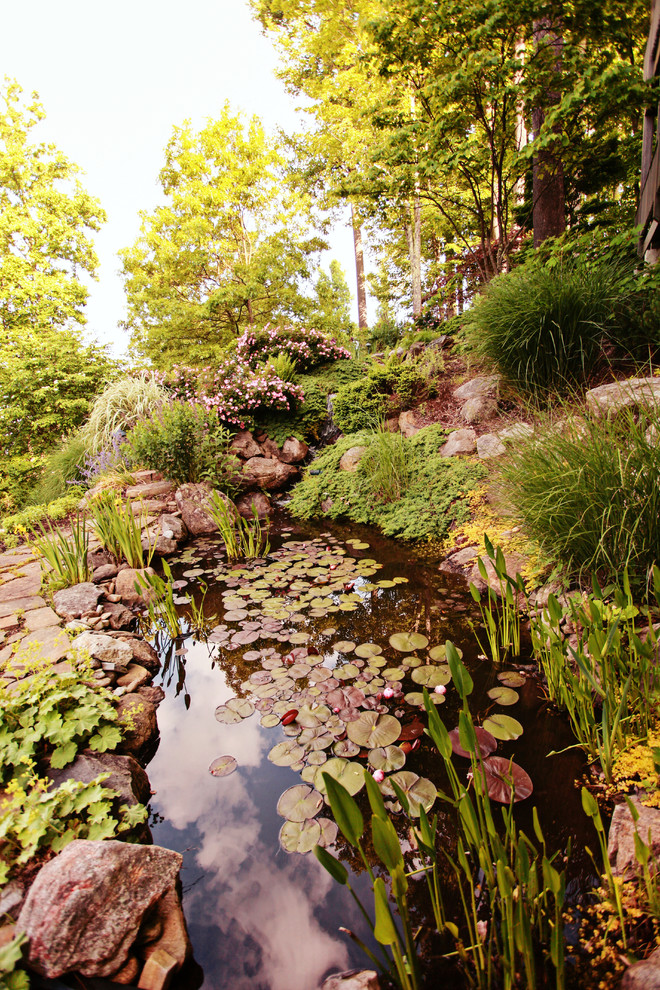 Aménagement d'un très grand jardin latéral classique l'été avec un point d'eau, une exposition ensoleillée et un paillis.