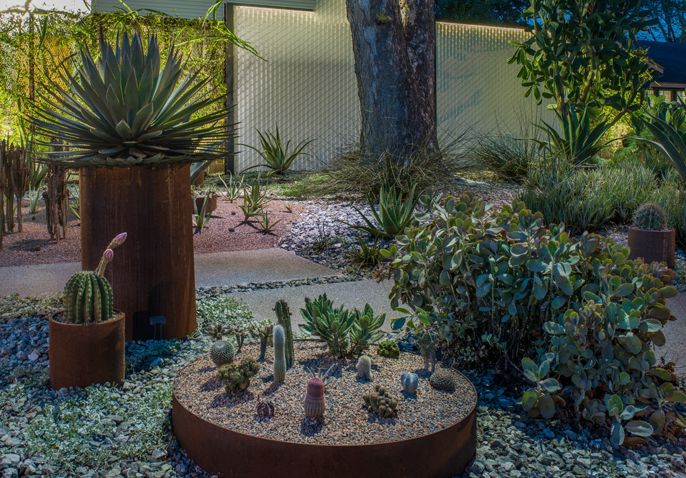 Diseño de jardín contemporáneo en patio trasero con gravilla