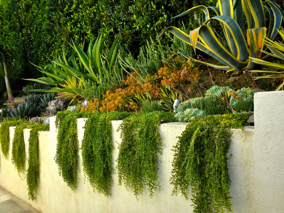 Idee per un piccolo giardino formale tropicale esposto a mezz'ombra nel cortile laterale con un muro di contenimento