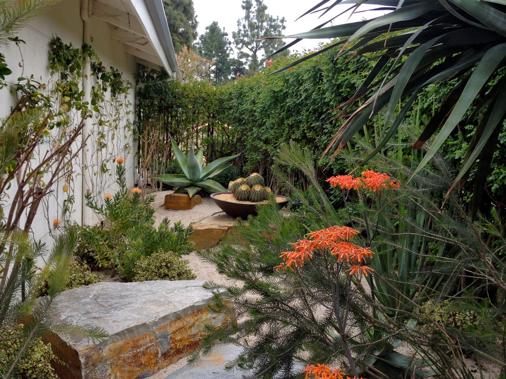 This is an example of a small modern side formal partial sun garden in Los Angeles with gravel.