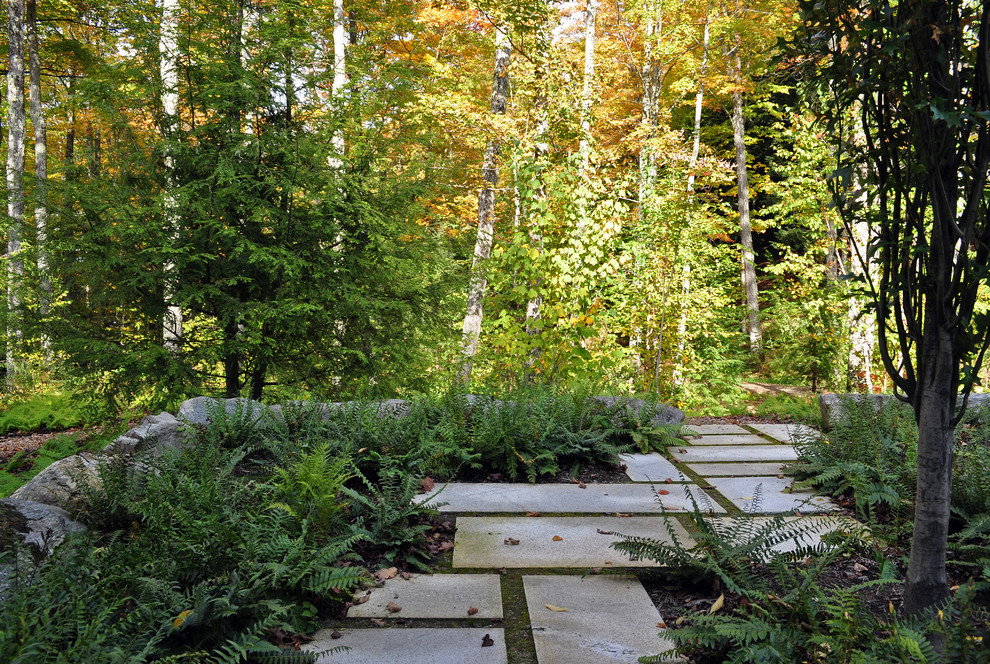 Photo of a contemporary back fully shaded garden steps for autumn in Burlington.